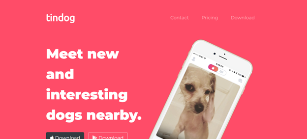 Screenshot of TinDog website